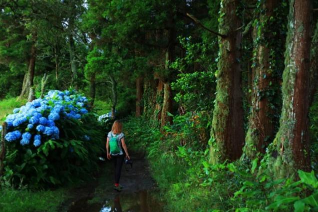 By The Sea Azores Ribeira Grande Exterior foto